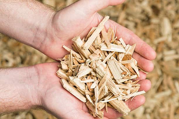 Copeaux de bois dans les mains d'un homme