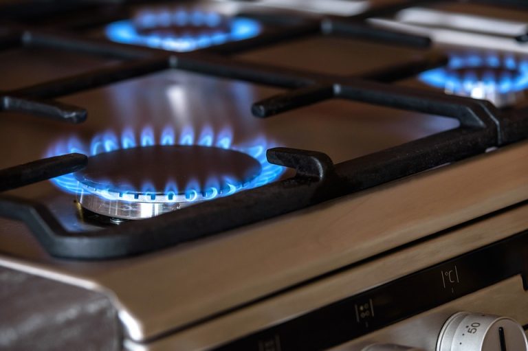 La méthanisation domestique : produire son énergie verte à la maison