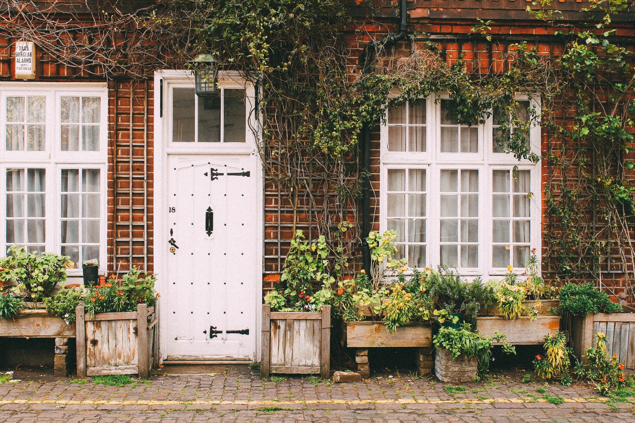 Maison avec plantes vertes