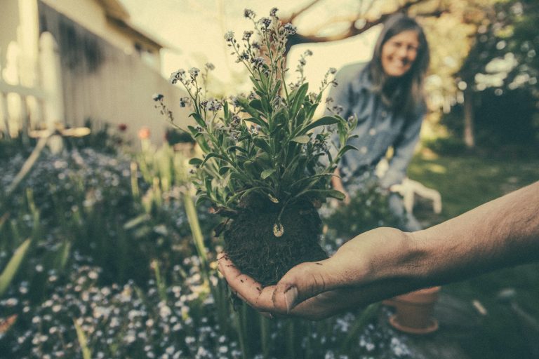 Seniors et écologie : comment changer ses habitudes de consommation ?