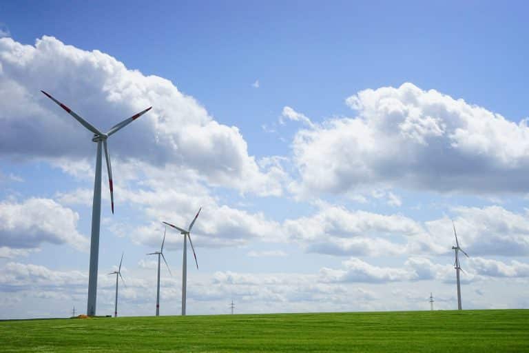 Journée européenne des énergies éoliennes : focus sur l’énergie du vent !
