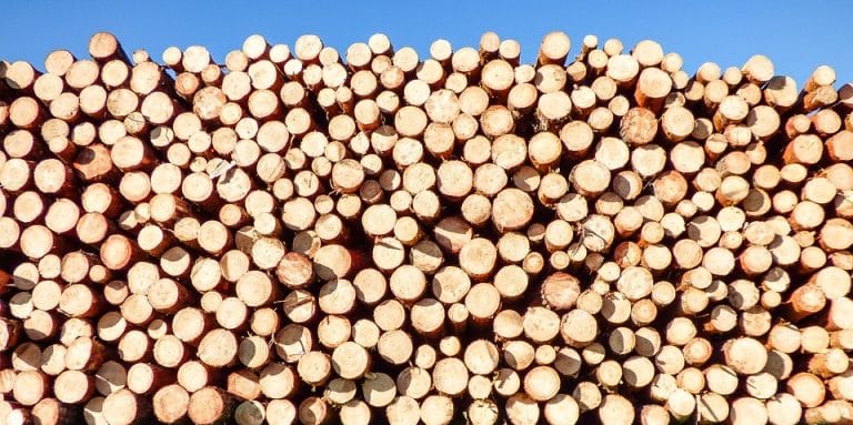 Qu’est-ce qu’une bûche compressée, bois compacté ou bois densifié ?