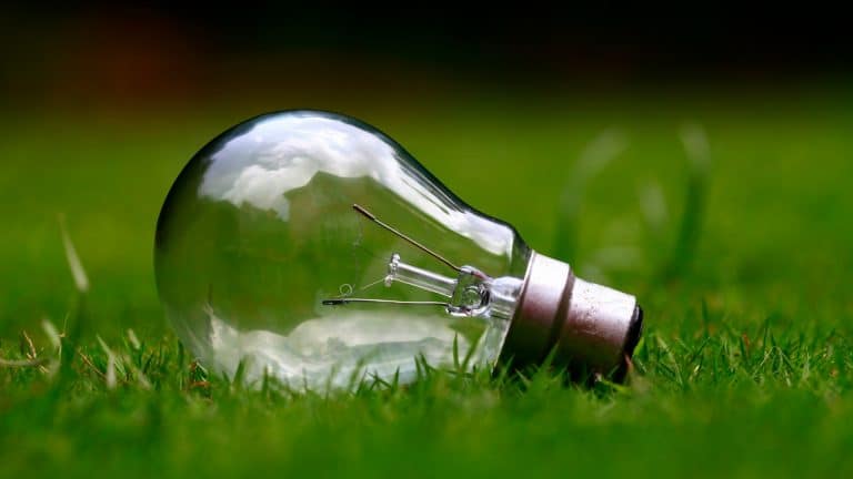 Qu’est-ce qu’un fournisseur d’électricité verte et comment le choisir ?